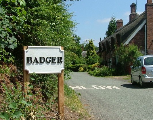 Cottage Sign Cropped